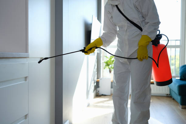 Best Post-Flood Mold Remediation in Burlington, WI