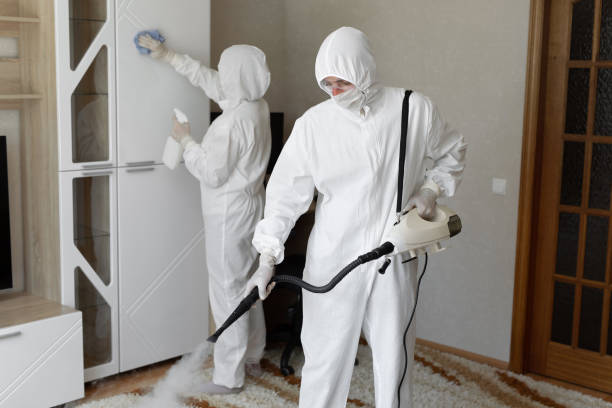 Best Industrial Mold Remediation in Burlington, WI